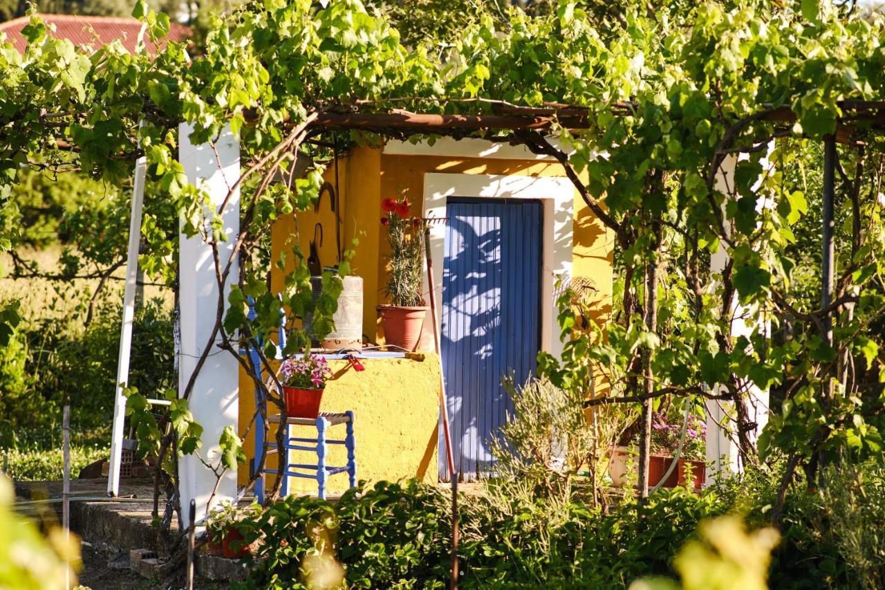 Villa Doreta Roda  Dış mekan fotoğraf