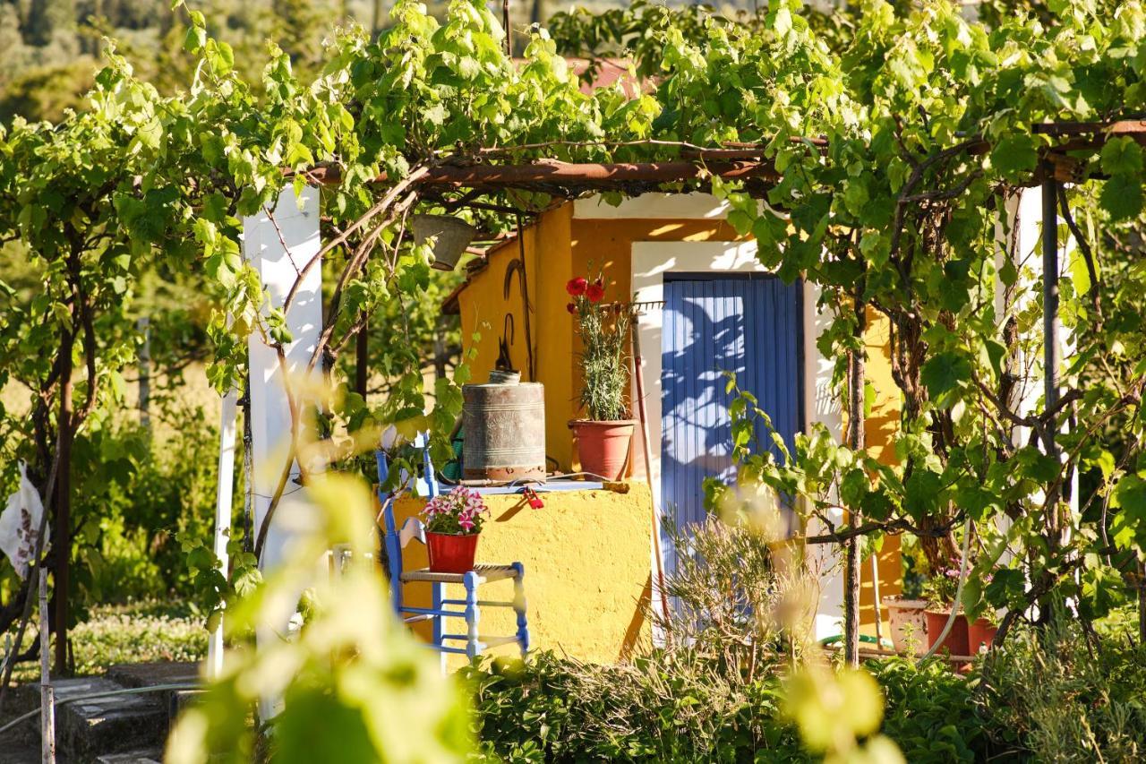 Villa Doreta Roda  Dış mekan fotoğraf