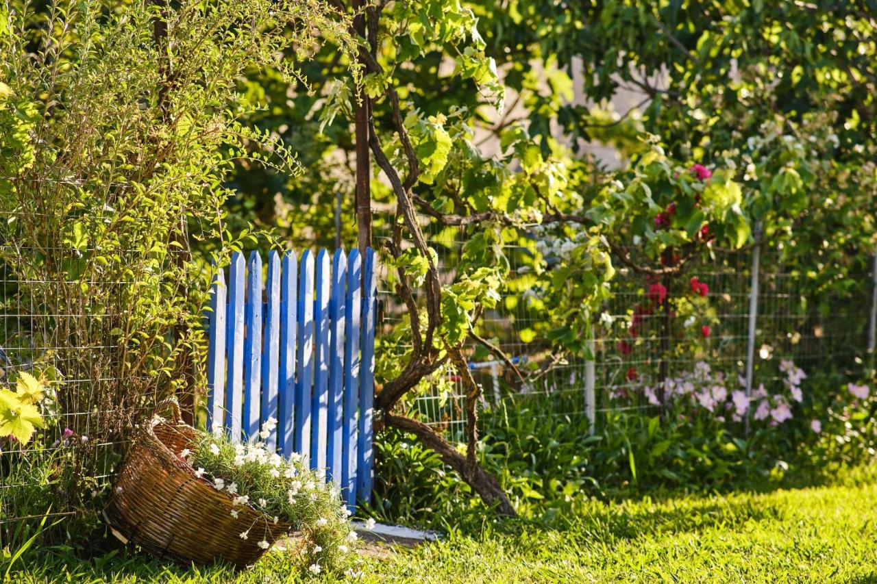 Villa Doreta Roda  Dış mekan fotoğraf
