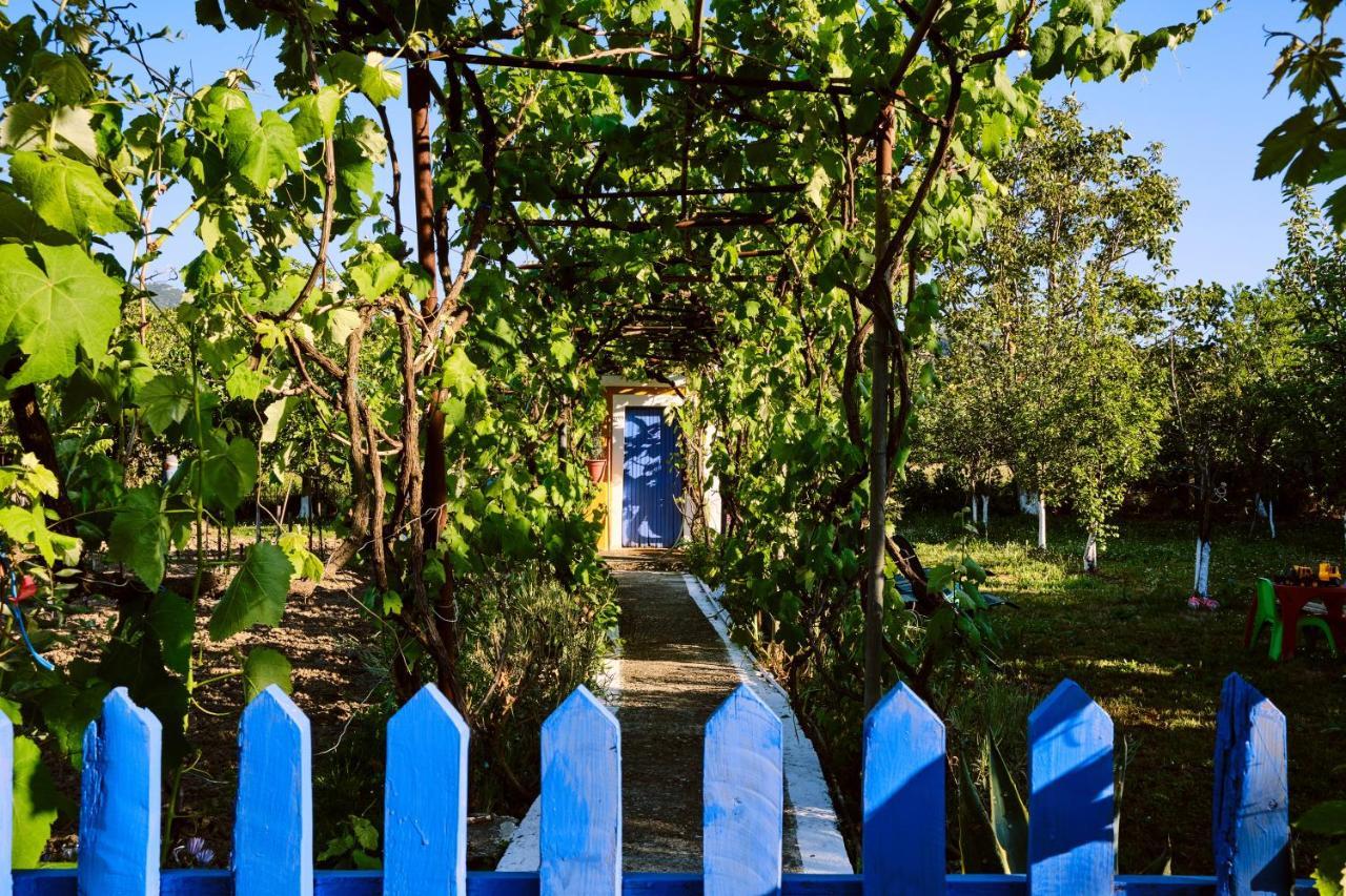 Villa Doreta Roda  Dış mekan fotoğraf